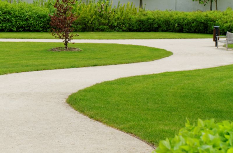 Eco-Friendly Options