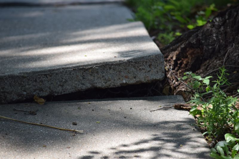 Soil Condition Impact